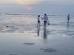 -南汇嘴观海公园