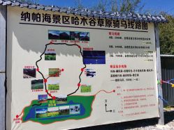 -纳帕海依拉草原