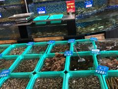-浩运·海鲜青岛菜·海胆水饺(石老人店)