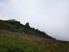 -白草畔自然风景区