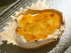 -悦泰环球美食自助(金茂旗舰店)