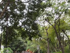 -鹿鸣酒家(越秀店)