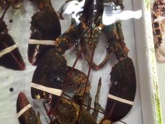 -南沙十九涌渔人码头-南门