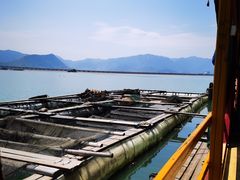 -罗源湾8号渔排