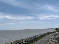-上海滨江森林公园