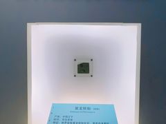-安徽省地质博物馆