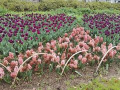 -玄武湖景区-情侣园游乐场