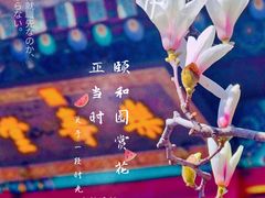 -颐和园