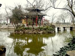 -香雪海