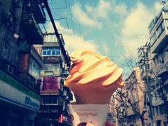 -全家便利店(广灵一路店)