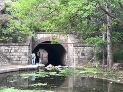 -白水寺森林公园