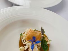 -蝶舍·MAISON PAPILLON