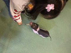 -藦茜花园宠物主题亲子互动体验馆(国顺东路店)