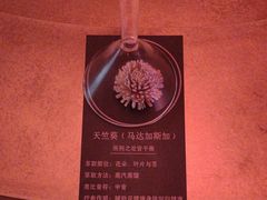 -舒小悦·舒养SPA·古法推拿(光环中心店)