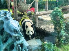 -大连森林动物园