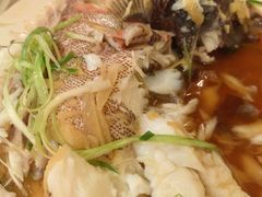 清蒸游水东星斑-星城海鲜酒家