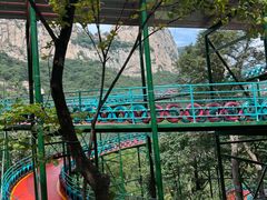 -大芦花风景区