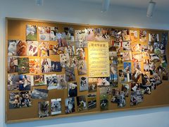 -翊宠yipet猫狗购宠庄园犬舍•猫舍