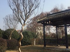 -武汉紫薇都市田园