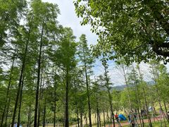 -牛岗山公园