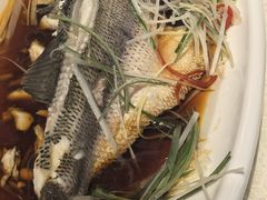 -沣华国际-鼎香食府宴会中心婚宴·寿宴(东郊长乐路店)