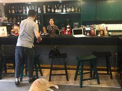 -百好乐宠物友好餐厅(朝外大街店)