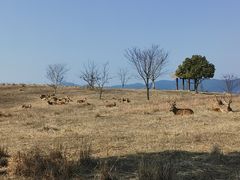 -良渚古城遗址公园