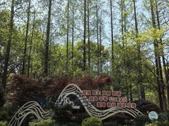 -徐家汇源景区-衡山公园