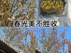 -天津水上公园