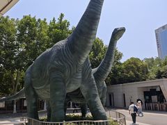 -河南自然博物馆