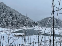 -武陵山森林公园