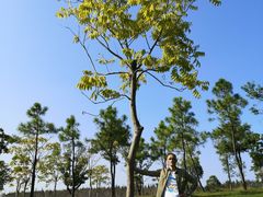 -上海海湾国家森林公园