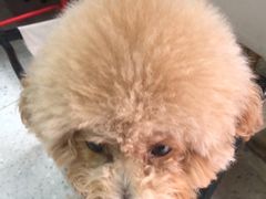 -争先鲜·蒸汽海鲜自助·鲜切牛肉