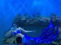 -瑞德姆美人鱼海底演艺主题餐厅(亚龙湾店)