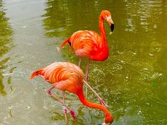 -鄂尔多斯野生动物园