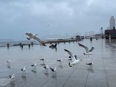 -星海广场