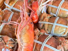 -乡乐园蟹庄·阳澄湖农家乐