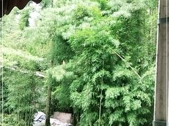 -贵州森林野生动物园