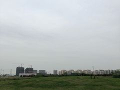 -漕湖湿地公园