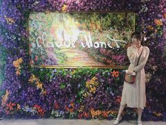 -印象莫奈时光映迹艺术展