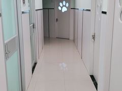 -佳雯宠物医院(四明中路分院)