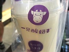 -一只酸奶牛(八一路店)
