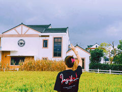-MUSEO COFFEE咖啡博物馆
