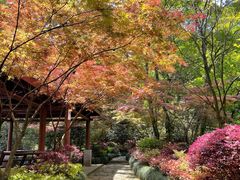 -杭州半山国家森林公园