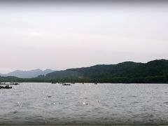 -湖畔居茶楼(湖滨店)
