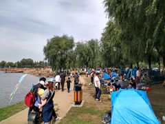 -丁香湖公园