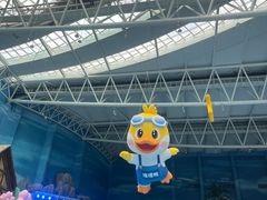 -青岛东方影都融创水世界