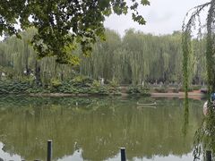 -裕华世纪公园