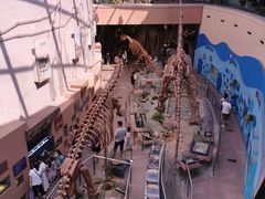 -陕西自然博物馆