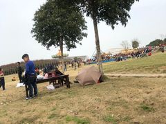 -武汉紫薇都市田园